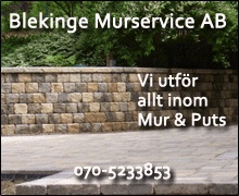 Blekinge Murservice AB