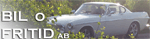 Bil & Fritid Vänersborg AB
