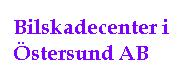 Bilskadecenter i Östersund AB