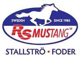 RS Mustang