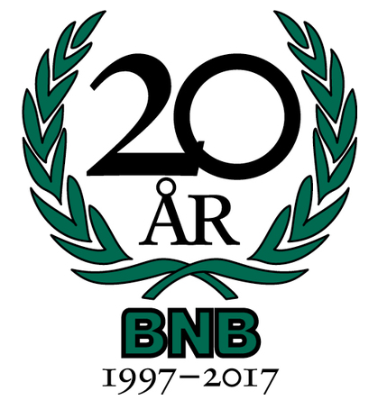 Bröderna Näslund Byggare AB