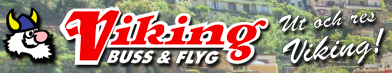 Viking Buss & Flyg
