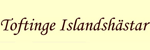 Toftinge Islandshästar